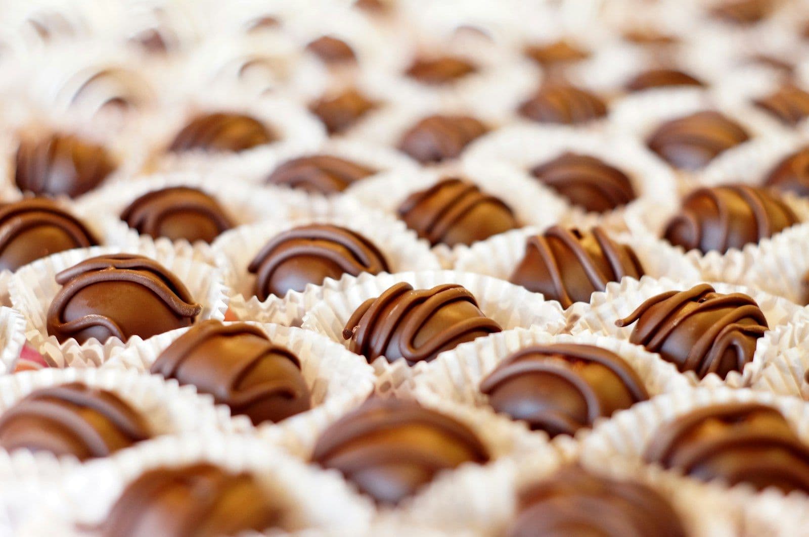 Tray of chocolate bonbons